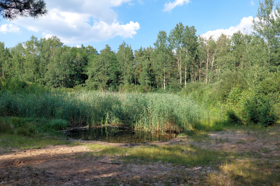 Jeziorko Leśniczówka