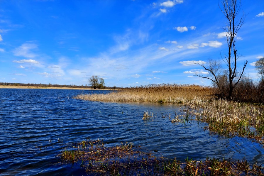Jezioro Góra