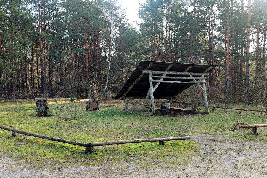 Wiata piknikowa w Piaskach Królewskich