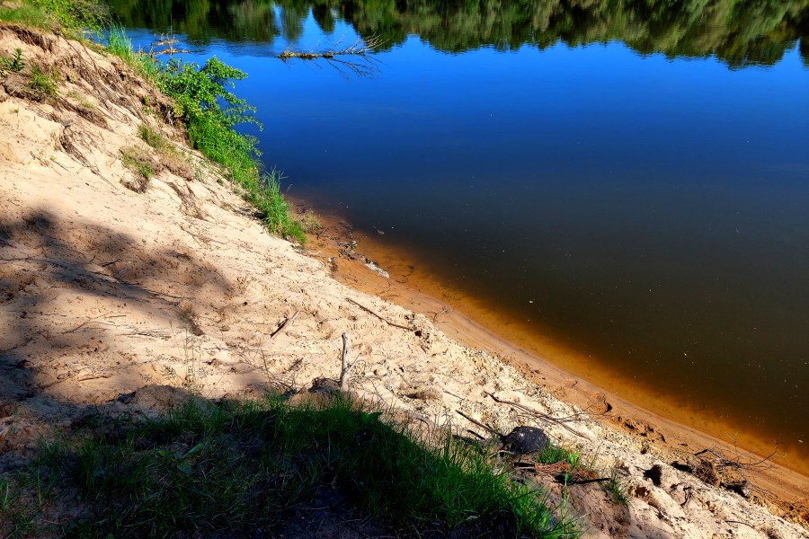 Plaża nad Narwią w Sikorach
