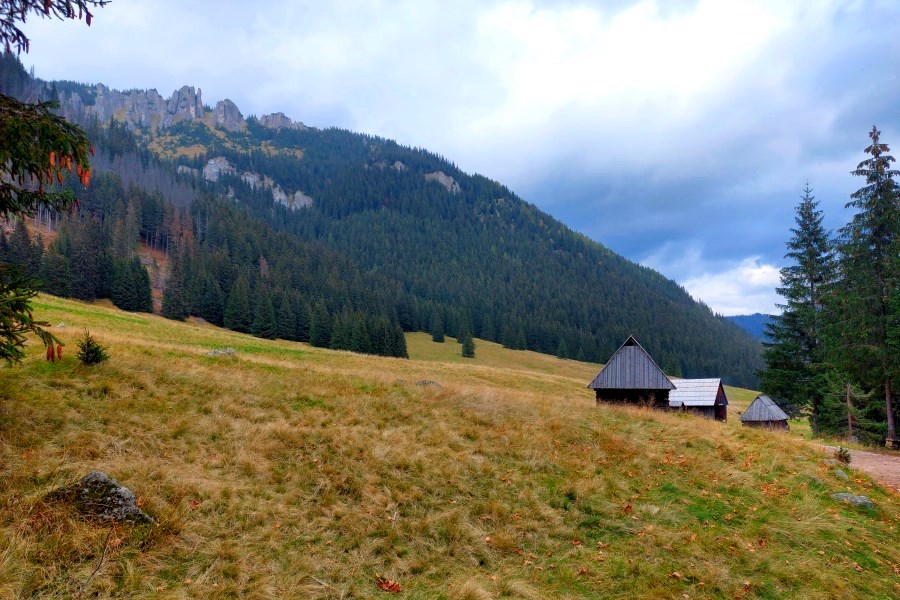 Polana Chochołowska