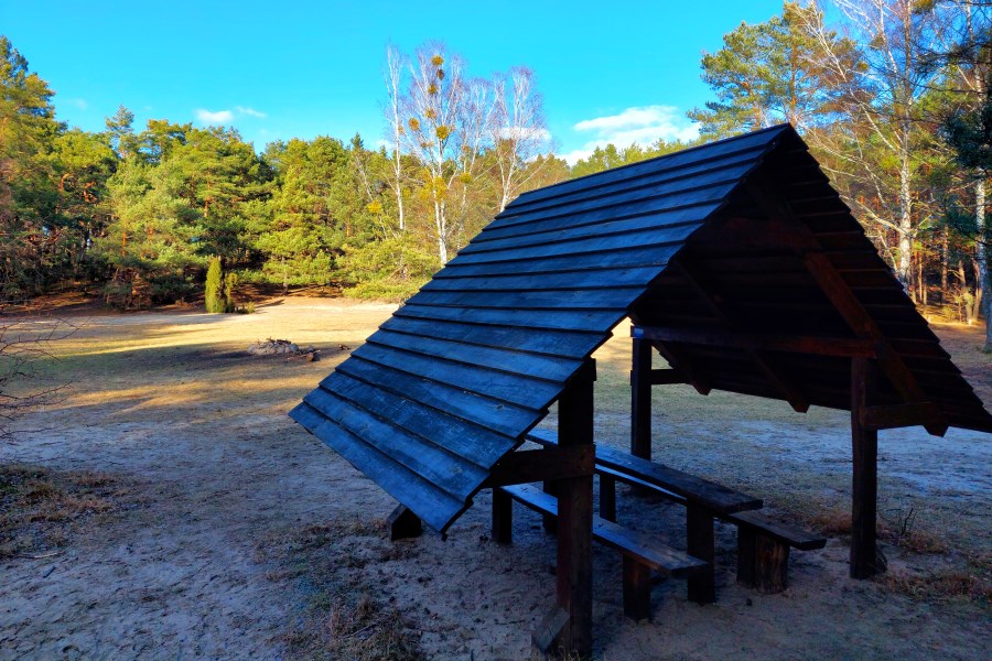 Polana Pociecha Kampinos 