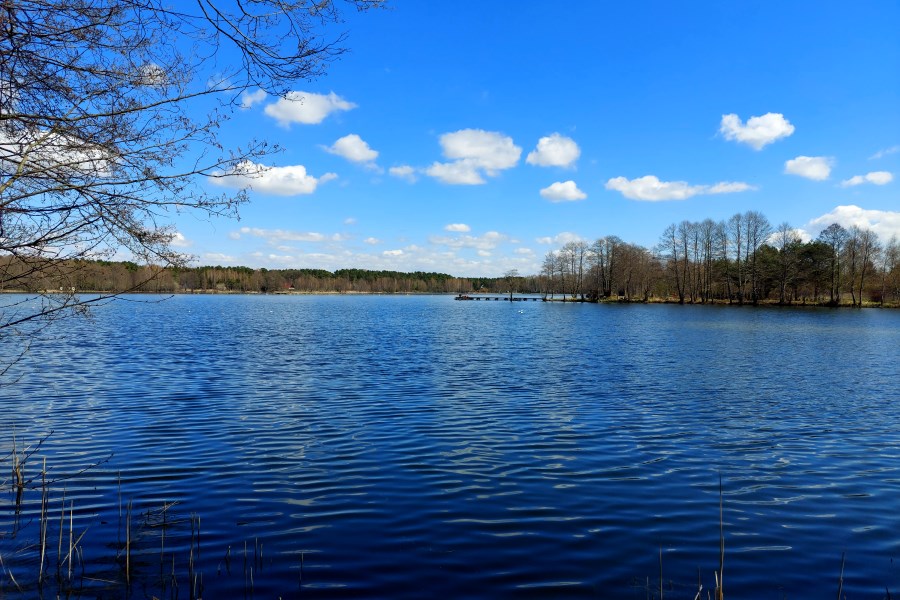 Ptasie Wyspy na jeziorze Skoki