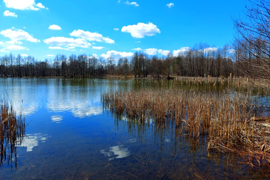Ptasie Wyspy na jeziorze Skoki