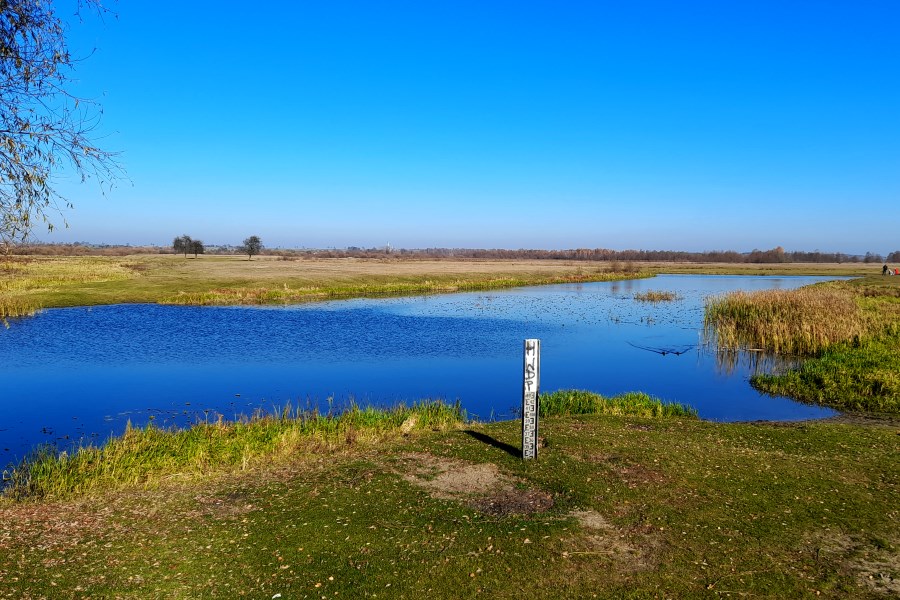 Rozlewiska nad Bugiem w Kuligowie