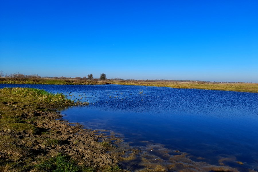 Rozlewiska nad Bugiem w Kuligowie