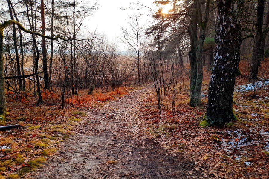 Roztoka ścieżka dydaktyczna