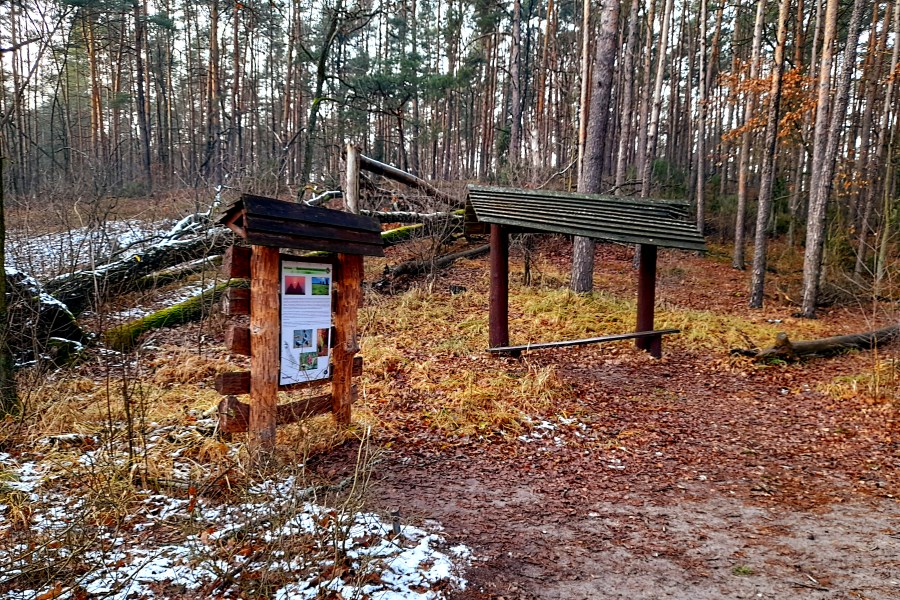 Roztoka Kampinoski Park Narodowy
