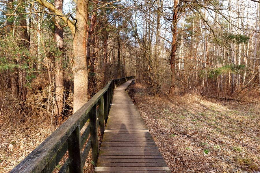 Ścieżka dydaktyczna do Karczmiska