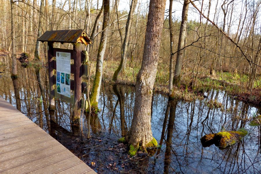 Ścieżka dydaktyczna do Karczmiska