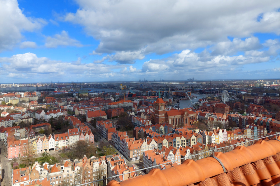 Widok z wieży Bazyliki Mariackiej w Gdańsku