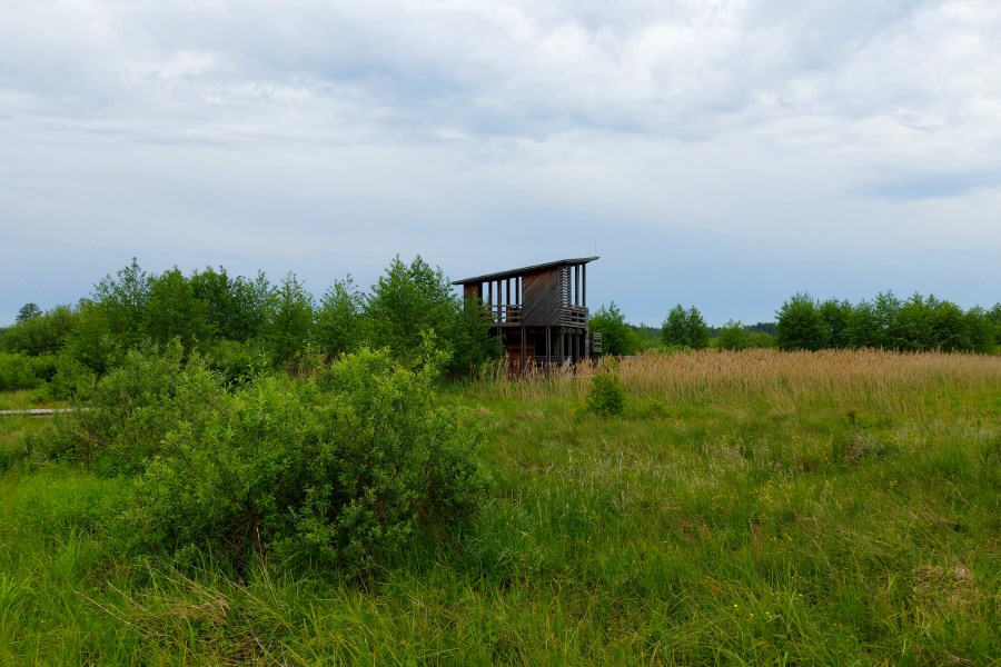 Wieża widokowa w Kampinosie